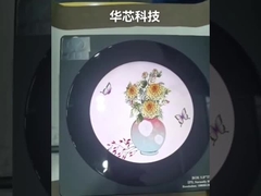 points ronds du module 480*480 de tft de 2,1 pouces, 40 interface des GOUPILLES 18bit RVB, 250cd/m2