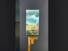 6 pouces 1080*2160 Résolution LCD TFT module MIPI Interface de conduite IC HX8399C