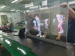 Module d'affichage amoled