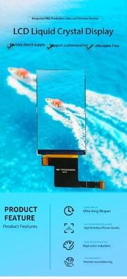 3.1 Inch 480(RGB)x800 Resolution MIPI Interface TFT Color Display IPS TFT LCD Screen with ST7701S All View 450nits