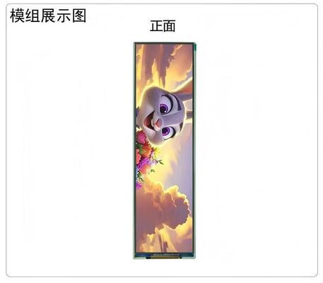 8.88" IPS TFT Module,480X1920 Resolution,MIPI Interface, Driver IC 7290,ALL VIEW, High definition screen 1100nit,16.7M